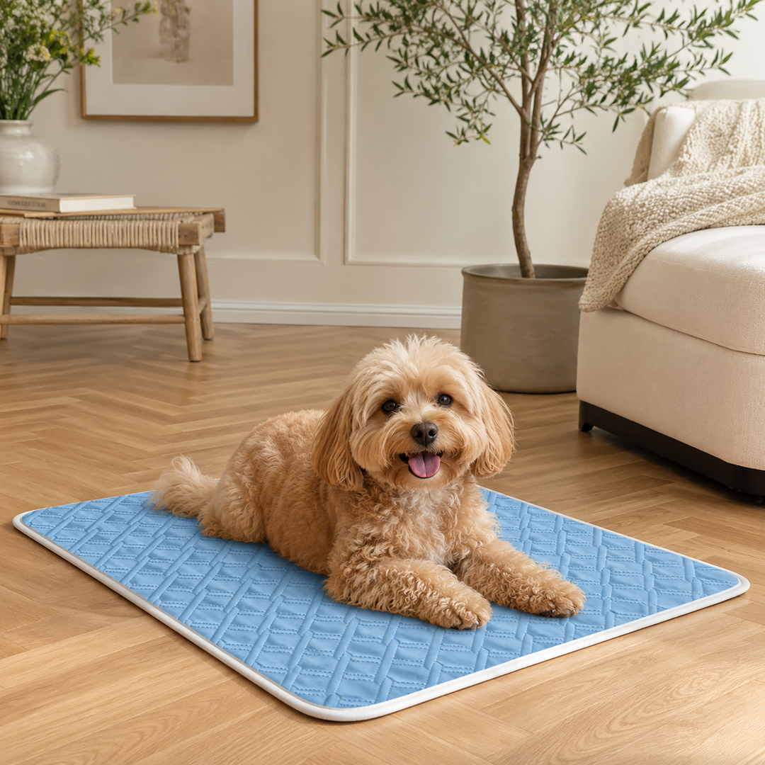 Dog Cooling Mat - image 4